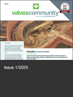 vc digital 01/2025