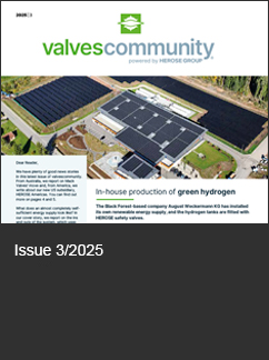 vc digital 02/2025
